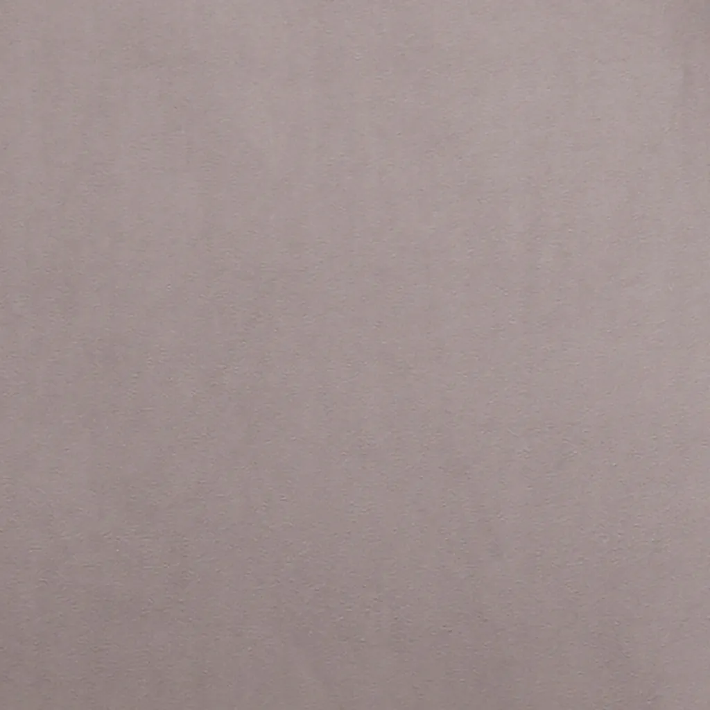 HOMEXPERTS Esszimmerstuhl Ursel 2er-Set, Metall Schwarz, Samt Hellgrau – Bild 7